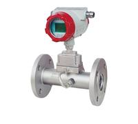 Water Flow Meter, Flow Meter Natural Gas Biogas Digital Stainless Steel DN80 DN100 High Accuracy(DN100)