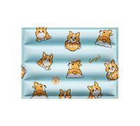 Water Injection Required Cool Down Mat For Self Cool Pad For Cats In Hot Summer Cool Pad Washable & Easy Clean Medium Sensor Water Playmat Cats Kids Feel Cool (E, One Size)