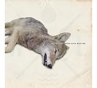 Water Liars - Moon over Madison [7" VINYL]