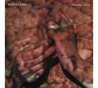 Water Liars - Phantom Limb - 12" Vinyl (US Import)