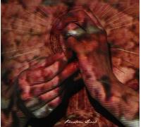 Water Liars - Phanton Limb