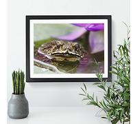 Water Lily Toad 2 Modern Framed Print | A3 Black Framed Wall Art | Ready to Hang | Modern Floral Picture | Living Room Bedroom Lounge Office