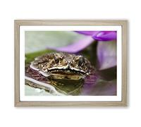 Water Lily Toad 2 Modern Framed Print | A4 Oak Framed Wall Art | Ready to Hang | Modern Floral Picture | Living Room Bedroom Lounge Office