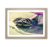 Water Lily Toad Framed Print | A2 Oak Framed Wall Art | Ready to Hang | Modern Floral Picture | Living Room Bedroom Lounge Office