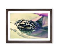 Water Lily Toad Framed Print | A2 Walnut Framed Wall Art | Ready to Hang | Modern Floral Picture | Living Room Bedroom Lounge Office