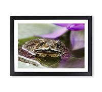 Water Lily Toad Vol.2 Framed Print | A2 Black Framed Wall Art | Ready to Hang | Modern Floral Picture | Living Room Bedroom Lounge Office