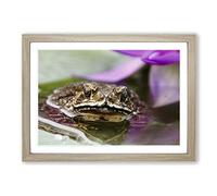 Water Lily Toad Vol.2 Framed Print | A2 Oak Framed Wall Art | Ready to Hang | Modern Floral Picture | Living Room Bedroom Lounge Office