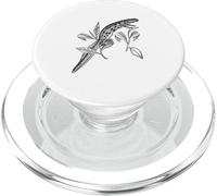 Water Newt Vintage Print PopSockets PopGrip for MagSafe