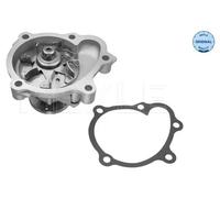 MEYLE 31-13 220 0013 Water pump