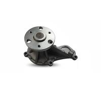 MAGNETI MARELLI 352316171261 Water pump