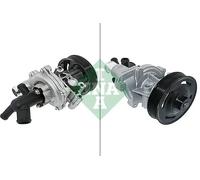 INA 538 0981 10 Water pump