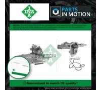 INA 538 0081 10 Water pump