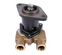 Water Pump AP01 132-0459 G702 Compatible With Onan Engine MDKBK L M N MDKDK M N
