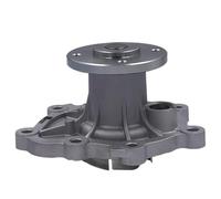 Water Pump Assembly 1016051411 Compatible with BAW WEIWANG M50F, EC7, Vision, GX3, Englon C5, and King Kong