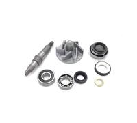 Water pump assembly compatible with 200cc BS200 ATV