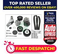 INA 529 0053 30 Water Pump + V-Ribbed Belt Kit