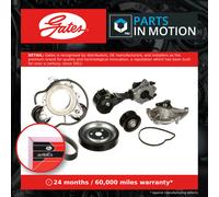 Water Pump & Aux Belt Kit fits PEUGEOT 408 Mk2 1.6 2022 on Drive Gates Quality