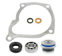 Water Pump Bearing Seal Gasket Compatible With Models Scrambler Big Boss ATP Xplorer Worker 500 450 425 400