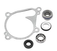 Water Pump Bearing Seal Gasket Kit for Kawasaki Brute Force 650 750 Prairie 650 700 KFX700 Teryx 750, OEM# 11060-1964 49063-1055 92045-1246