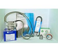 Timing Belt & Water Pump Kit fits VW TRANSPORTER Mk5 1.9D 03 to 09 Set INA New