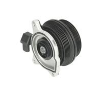 THERMOTEC D1W064TT Water pump