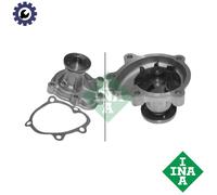 Water Pump 538009610 INA Coolant 1334073 1334143 6334019 6334024 6334048 Quality