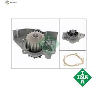 INA 538 0103 10 Water Pump for CITRO?N,FIAT,PEUGEOT
