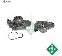 INA 538 0129 10 Water pump