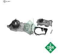 Water Pump fits RENAULT WIND E4M 1.6 2010 on K4M854 Coolant INA 210100753R New