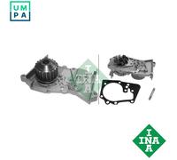 Water Pump fits RENAULT WIND E4M 1.6 2010 on K4M854 Coolant INA 210100753R New