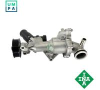 INA 538 1100 10 Water pump