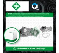 INA 538 0021 10 Water pump