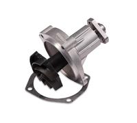 HEPU P620 Water pump