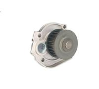 Water pump INA 538 0062 10 FORD KA (RU8) 1.2 2008-2016