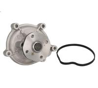INA 538 0113 10 Water pump