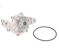 Water pump INA 538 0692 10 for SMART CABRIO (450) 0.8 2001-2004