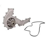 Water pump INA 538 0894 10 for AUDI A5 (F53, F5P) 3 2016-2018