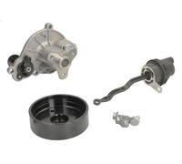 Water pump INA 538 1005 10 for BMW 1 (F21) 2 2015-2019