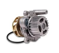 HEPU P547 Water pump