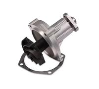 HEPU P620 Water pump