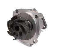 HEPU P620 Water pump