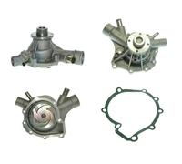 Saleri SIL PA1226 Water pump