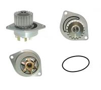 Saleri SIL PA938 Water pump