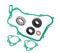 Water Pump Rebuild Kit Gaskets Seals Bearing Compatible With 125cc Dirt Bike Models 1990 To 2004