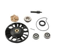 Water Pump Repair Kit Compatible With Nexus Eu3 125 Runner Vx 125cc Motorcycle Engine Part Number 100110230