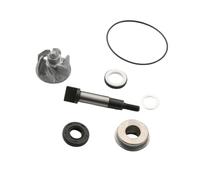 Water Pump Repair Kit For SH300 Forza300 NSS300 Scoopy 300i Compatible With Part Number 100110520