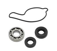 Water Pump Repair Kit Gasket Bearing Seals Compatible With TRX450R 06-09 TRX450E 06-13 CRF450R CRF450X Set Of 4