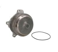 THERMOTEC WP-DF122 Water pump