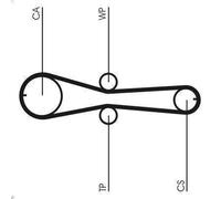 Water Pump & Timing Belt Ki CONTITECH CT915WP1 for TWINGO I (C06_) 1.2 1996-2007