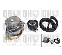 Water Pump & Timing Belt Kit 135 Teeth Fits Seat VW Quinton Hazell QBPK2911